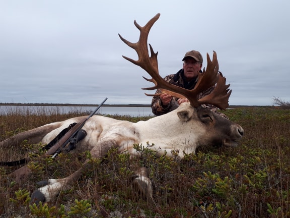 Successful Caribou Hunt - Fall 2019_1