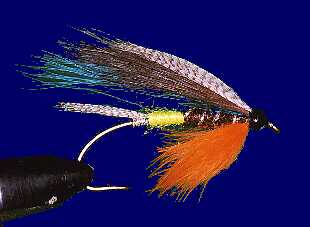 Primrose And Pearl Flies Copper Carmel Fly Fishing Flies Trout