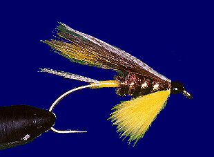 Tapam Special Fishing Fly  Quality Fishing Flies 101