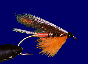 Silver Satin, size 4, Mustad 36890, Salmon Fly Hook. : r/flytying