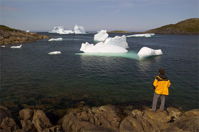 Man looks at the many icebergs in the bay