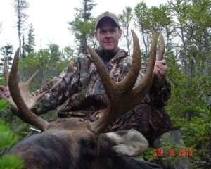 Impressive Moose -- Fall 2013