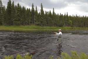Fishing at Beaver Brook