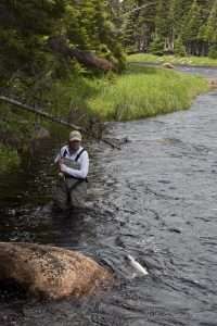 Fishing at Beaver Brook